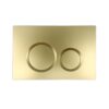 Matt Gold Round Inwall Cistern Push Button