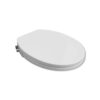 Non Electric Bidet Toilet Seat O Shaped