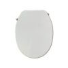 Non Electric Bidet Toilet Seat O Shaped